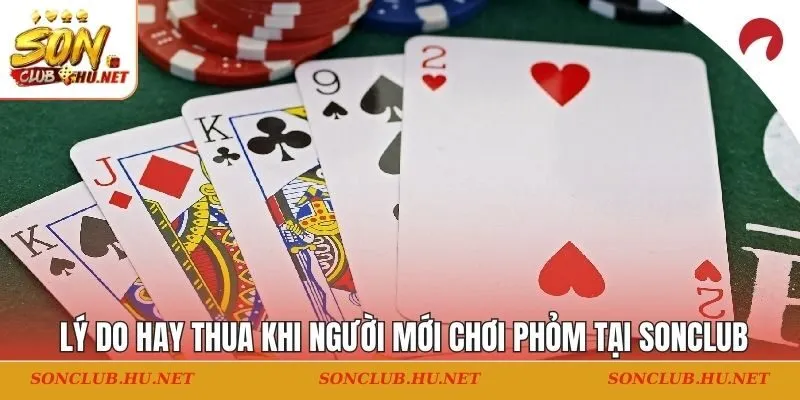 Lý do hay thua khi người mới chơi phỏm